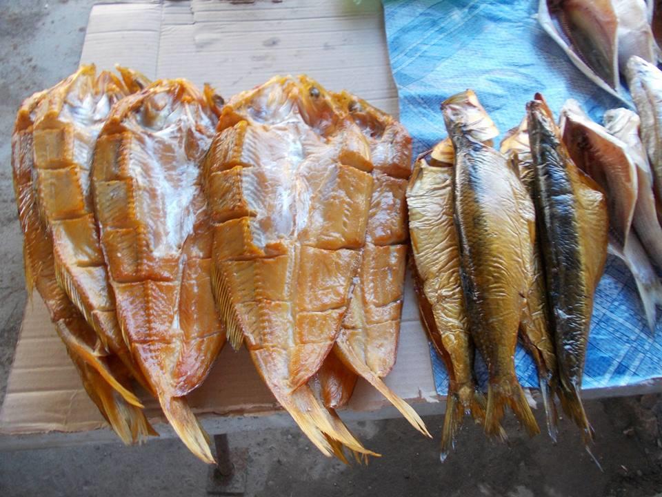 yamy - 1010062442918059148404740766484n.jpg